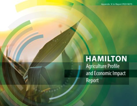 Final Agriculture Profile and Economic Impact Report thumbnail