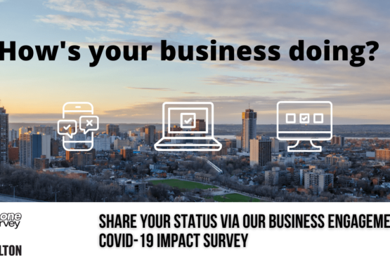 City Skyline advertisement for business survey