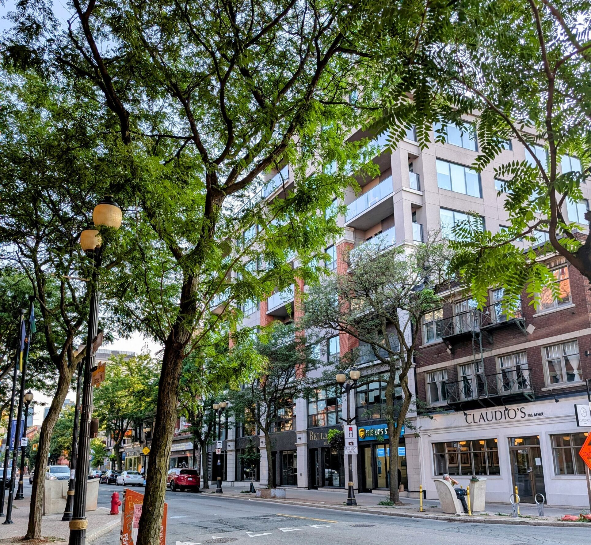 downtown Hamilton in summer, greenery in the foreground